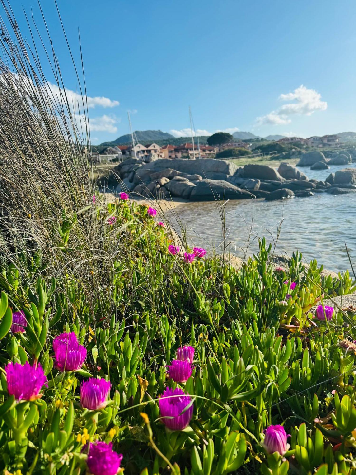 Casa Sacuri Hotel Rudalza Kültér fotó